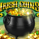 Irish Coins