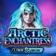 Arctic Enchantress